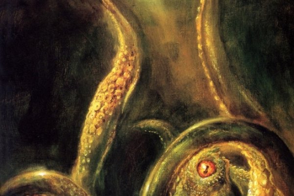 Kraken13 at сайт