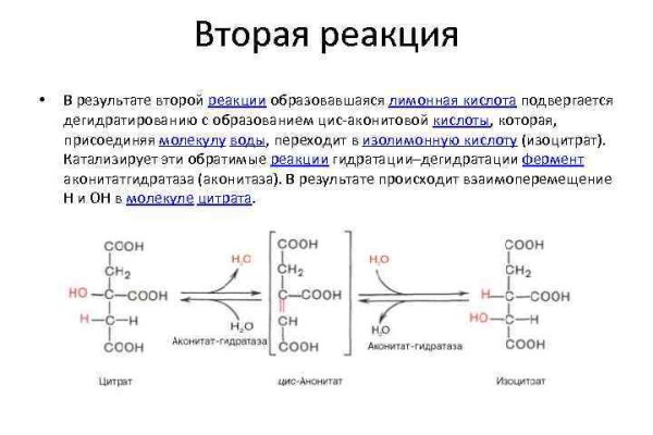 Кракен в россии наркотик