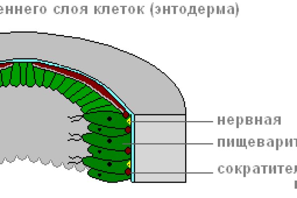Kra13cc