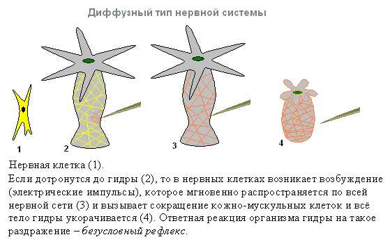 Кракен сайт 14